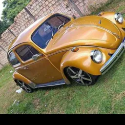 compra e vendas vg