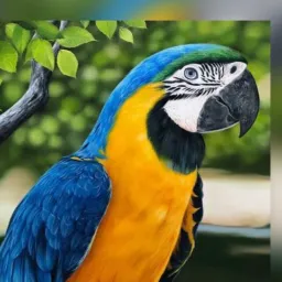Aves 🦅 Animais em Geral ✅