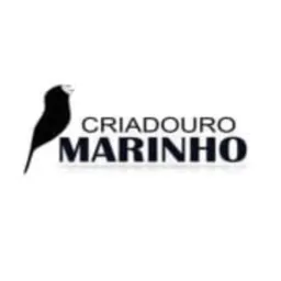 Grupo das Ações 🐦‍⬛