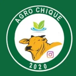 🚜🐮🌾@Agro.chique 🌾🐮🚜