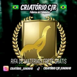 Grupo cjr e amigos