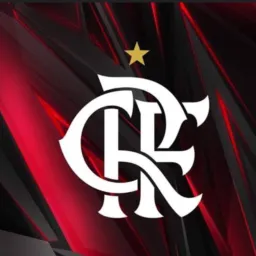 Torcedores do Flamengo ❤️🖤