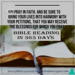 5️⃣1️⃣ 365 Bible Reading & Prayer🙏🏼