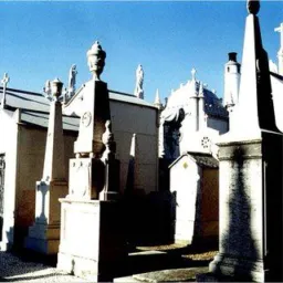 João Lisboa