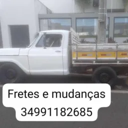 Freteiros Uberlândia 034