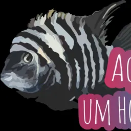 Loja Aquarismo um Hobby 1