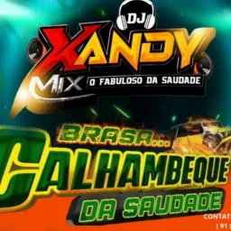 📀S SEGUIDORES DO DJ XANDY MIX