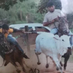 Rancho João Lisboa 🐎