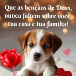 Vendas um pouco de tudo😍