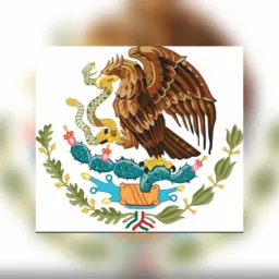 DIFUSIÓN NOTICIAS MEXICO.