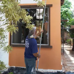 PINTURA E REFORMAS DDD. 61 e 62 ( MCR ) DF