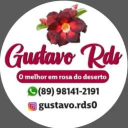 Gustavo RDS 🌺🌷 BOM JESUS-PI