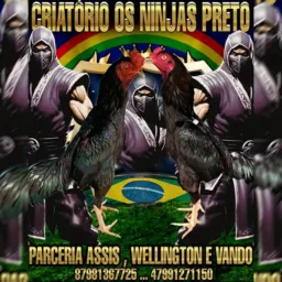 Criatórios ninja preto
