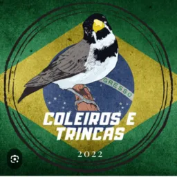 Coleiro vs trinca ferro 2
