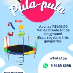 Olx Raposa - Ma 🦊