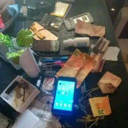 GRUPO CELULAR BARATO 🦎🦎🦎