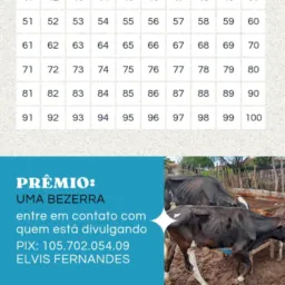 Rifa beneficente