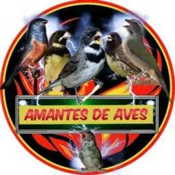Amantes das aves