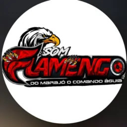 som Flamengo do Marajó o comando aguIa🦅💥💥🚀🚀 2026