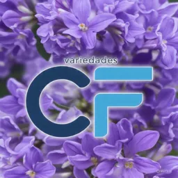 CF Variedades 👚👕👠👜