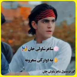 🌹شاعر شاولی خان Tikotkکروف🌹