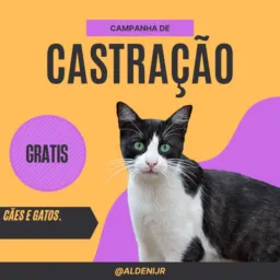 Castração de animais.💙💙💙💙