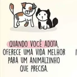 Doação de animais 🐱🐶