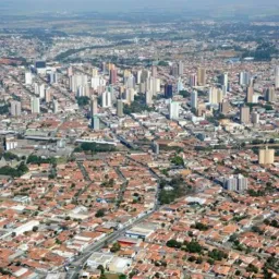 Somente trampo e informações
