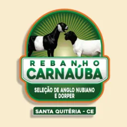 REBANHO CARNAUBA