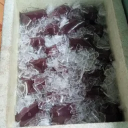 R.S AÇAÍ MANICORÉ 🤤🤤