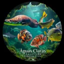 Águas Claras Aquarismo Ribeirão preto