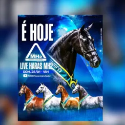 Tudo sobre a live / Leilão MH2