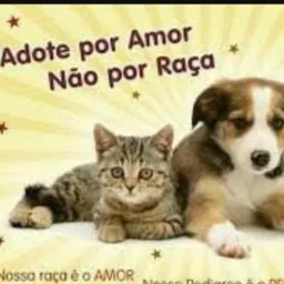 Adoção de animais (santa Isabel do Pará) 🐱🐶🐕