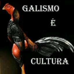 Galismo é cultura