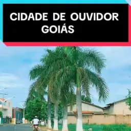 Informe Ouvidor-Go