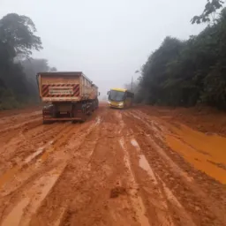 BR 319 EM TEMPO REAL