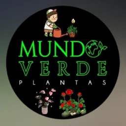 Mundo Verde 💚🪴🌱🌵