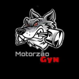 MotorzãoGyn🏍💨🔥🚀🔧