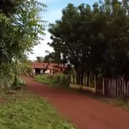 Portal de notícias sítio do Alegre