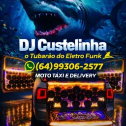 DJ custelinha festa