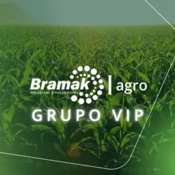 GRUPO VIP AGRO