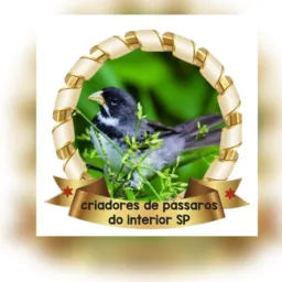 Criadores de pássaros do interior  SP 🦜🕊️🐧🐦🦅🐔