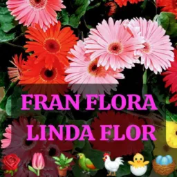 FRAN FLORA🌻E AMIGOS DA FLORICULTURA🪴MANACAPURU 🌻