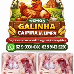 Granja mm venda frangos abatidos pintinhos e ovos frangos todos fresquinhos pronto para consumo