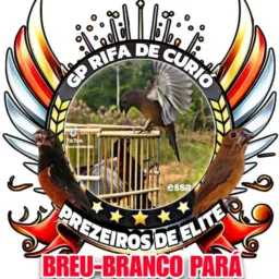 GP RIFA DE CURIÓ PRESEIRO DE ELITE