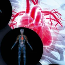 Repasso Fisiologia l