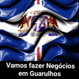 Negócios Guarulhos/Jd.LasVegas/Centro/Região
