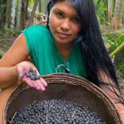 Marajoara Abaetetuba vendas anúncio