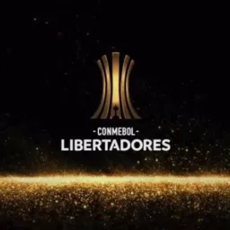LIBERTADORES 2025 🇧🇷🇦🇷🇻🇪🇵🇪🇪🇨