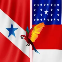 PARAMAZONAS NOTÍCIAS